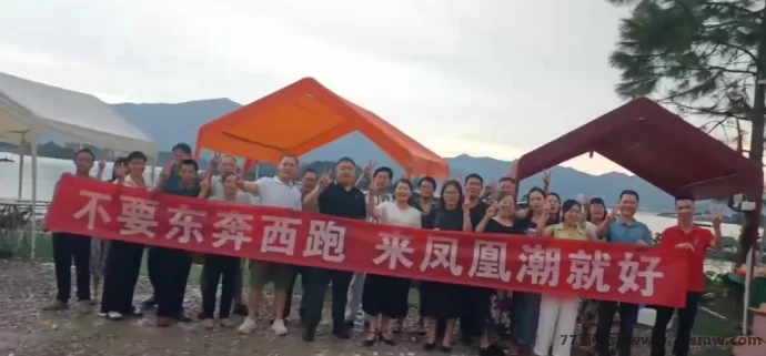 最新凤凰潮零撸项目深度解析：轻松参与，多种玩法助你月入数十万-副业网