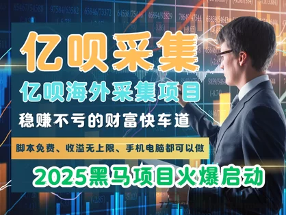 置顶亿呗海外采集项目：脚本免费，收溢无上限，手机电脑都可以做-副业网