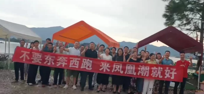最新凤凰潮快赚：长期稳定平台，轻松月入数十万的赚米新方式-副业网