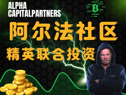 置顶阿尔法社区首码上线：精英联合投资，把握2025最后一个财富风口！-副业网