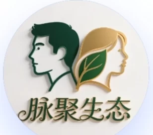 最新脉聚生态首码上线，零成本K机模式体验与团队收溢攻略！-创客网