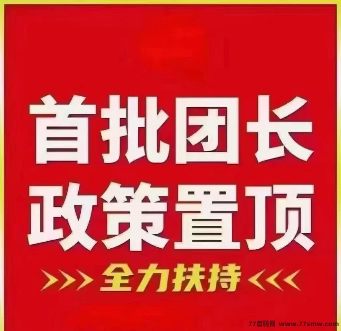 最新大店小二首码内测：零投入，每天轻松拿收溢！-创客网